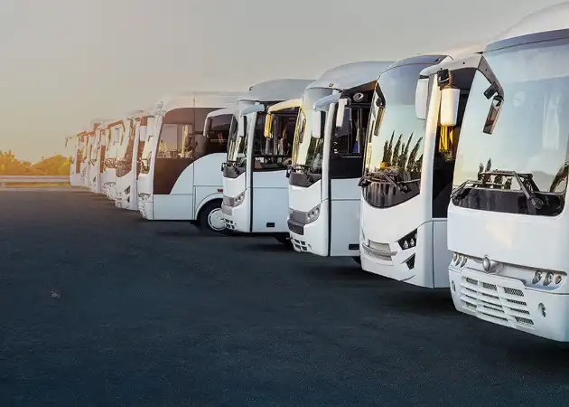 Busbody-Banner_cleanup